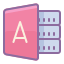 DBMS